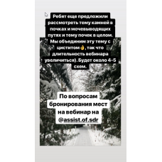 Вебинар Цистит, Почки, Камни в почках. Елена Корнилова