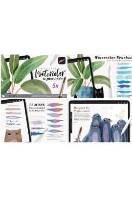 Реалистичные акварельные кисти для Procreate / Amazing Watercolor Painting kit for Procreate. DrifterStudio