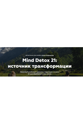 Mind Detox 21 источник трансформации. Игорь Будников