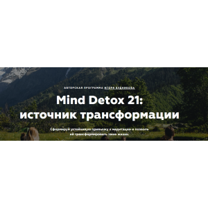 Mind Detox 21 источник трансформации. Игорь Будников