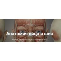 Кадавер-курс Анатомия лица и шеи. Михаил Касаткин, Екатерина Кюршева