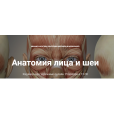 Кадавер-курс Анатомия лица и шеи. Михаил Касаткин, Екатерина Кюршева