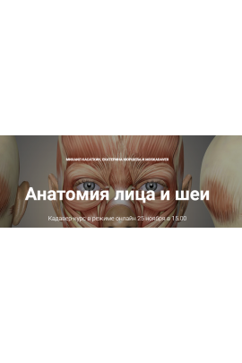 Кадавер-курс Анатомия лица и шеи. Михаил Касаткин, Екатерина Кюршева