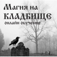 Практика работы на кладбище. Алена Полынь