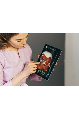 Деформационная 3D анатомия лица. Екатерина Воронова