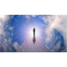 Обучение на мастера регрессолога. Александр Вель, Алина Бубен