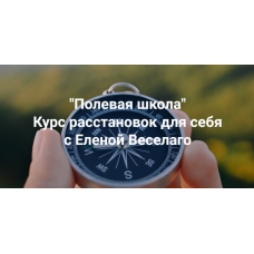 Полевая школа. Курс расстановок для себя. Елена Веселаго Институт Открытого поля