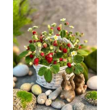 Пасхальные фигурки из мастики. Николай Гагарин, Артем Валентинов Gift Cookies