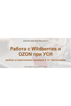 Работа с Wildberries и OZON при УСН 2025 Тариф: Видео без обратной связи. Алина Календжан