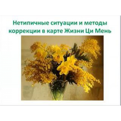 Ци Мень Дунь Цзя: Проблемы в карте Жизни человека и способы их коррекции. Ольга Фандорина