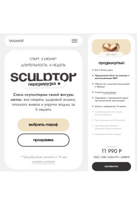 Sculptor. Перезагрузка. Тариф Продвинутый. Яна Борейко yanamsf