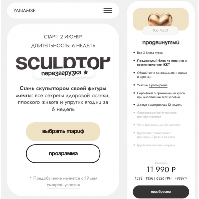 Sculptor. Перезагрузка. Тариф Продвинутый. Яна Борейко yanamsf