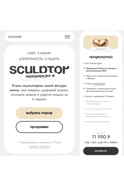 Sculptor. Перезагрузка. Тариф Продвинутый. Яна Борейко yanamsf