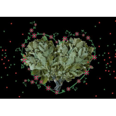 Романтическое свидание в бане. Мастерская легкого пара