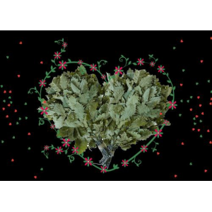 Романтическое свидание в бане. Мастерская легкого пара