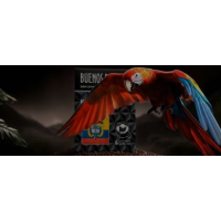 Научись создавать вирусные ролики за 5 минут с помощью AI  Николай Цалко