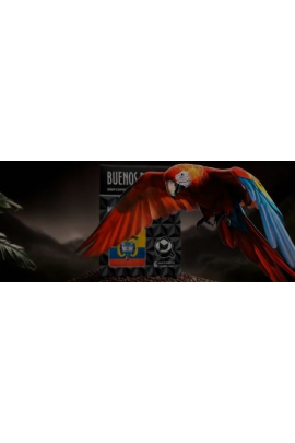 Научись создавать вирусные ролики за 5 минут с помощью AI  Николай Цалко