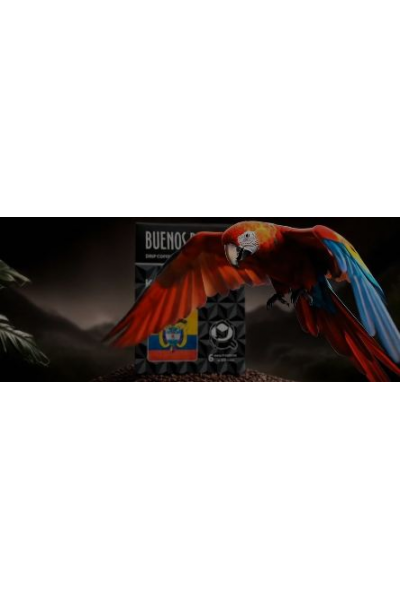 Научись создавать вирусные ролики за 5 минут с помощью AI  Николай Цалко