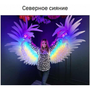 Крылья Северное сияние. Жанна Ващенко zefirka_bubbles