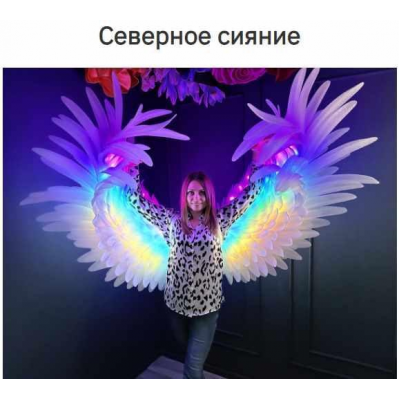 Крылья Северное сияние. Жанна Ващенко zefirka_bubbles