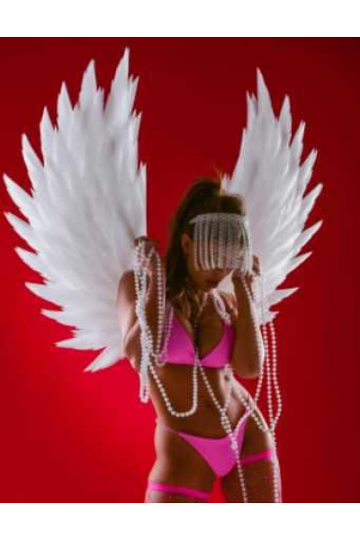 Курс по крыльям Звезда. Жанна Ващенко