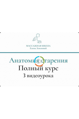 Анатомия старения. Полный курс. Елена Земскова Массажная Школа Елены Земсковой