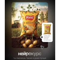 Нейрокурс. Тариф Базовый минимум. Дмитрий Зубков Yodiz School