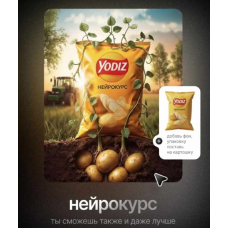 Нейрокурс. Тариф Базовый минимум. Дмитрий Зубков Yodiz School