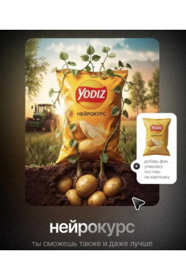 Нейрокурс. Тариф Базовый минимум. Дмитрий Зубков Yodiz School