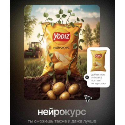 Нейрокурс. Тариф Базовый минимум. Дмитрий Зубков Yodiz School