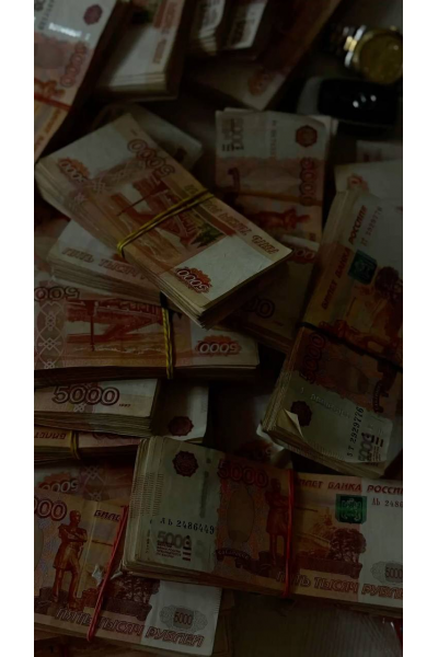 Основы бухгалтерского учёта. Нина Култышева