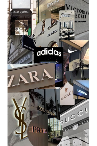 Брендинг и айдентика. Дарина Костина