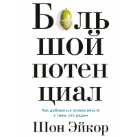 Большой потенциал. Как добиваться успеха вместе с теми, кто рядом. Шон Эйкор