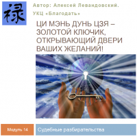 Ци Мэнь Дун Цзя - золотой ключик. Модуль 14. Судебные разбирательства. Транскрибация. Алексей Левандовский