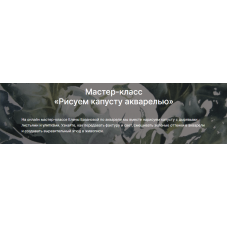 Рисуем капусту акварелью.  Елена Базанова lectoroom