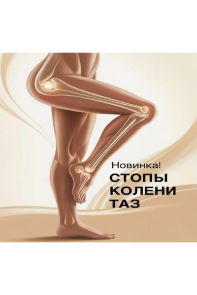 Стопы, колени, таз. Ольга Дробышева