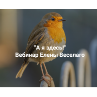 А я здесь! Елена Веселаго Институт Открытого поля