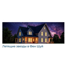 Летящие звезды в Фен Шуй. Светлана Ильина