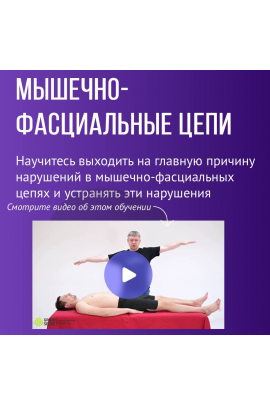 Мышечно-фасциальные цепи. Максим Волков Grand Secret