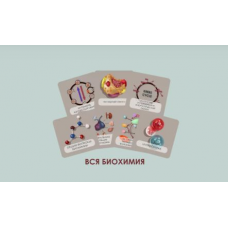 Бокс. Весь курс биохимии CHRISTOVSKAYA’S Medical School