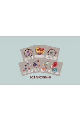 Бокс. Весь курс биохимии CHRISTOVSKAYA’S Medical School