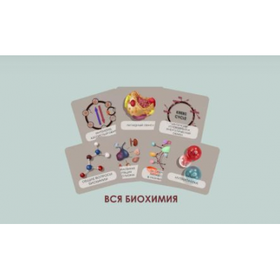 Бокс. Весь курс биохимии CHRISTOVSKAYA’S Medical School