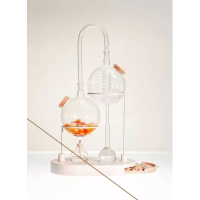 Биохимия. Метаболизм холестерола и желчных кислот. Метаболизм ЛПВП. CHRISTOVSKAYA’S Medical School