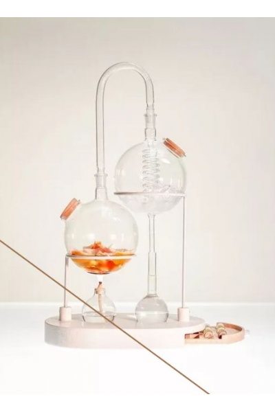 Биохимия. Липолиз. β-окисление жирных кислот. Метаболизм кетоновых тел. CHRISTOVSKAYA’S Medical School