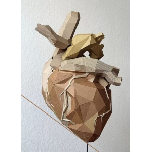 Анатомия. Интенсив по сердечно-сосудистой системе. CHRISTOVSKAYA’S Medical School