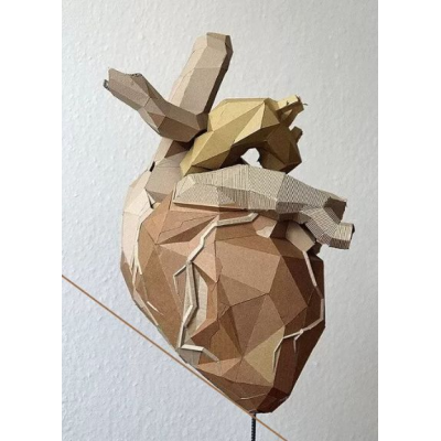 Анатомия. Интенсив по сердечно-сосудистой системе. CHRISTOVSKAYA’S Medical School