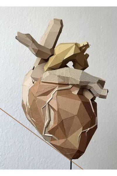 Анатомия. Интенсив по сердечно-сосудистой системе. CHRISTOVSKAYA’S Medical School