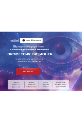 Профессия визионер. Тариф с поддержкой. Анастасия Анисимова, Елизавета Никонорова Formagiclife