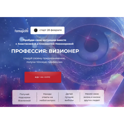 Профессия визионер. Тариф с поддержкой. Анастасия Анисимова, Елизавета Никонорова Formagiclife