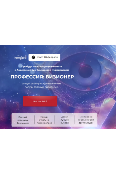 Профессия визионер. Тариф с поддержкой. Анастасия Анисимова, Елизавета Никонорова Formagiclife